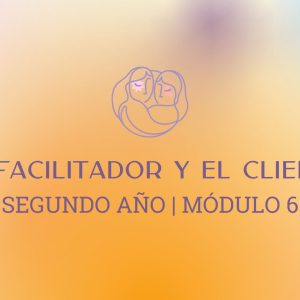Módulo 6 - El facilitador y el cliente