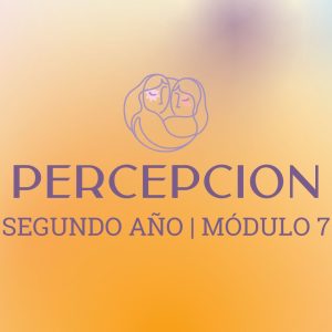 Módulo 7 - Percepción