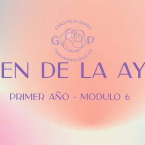 Módulo 6 - Ordenes de la ayuda 2026