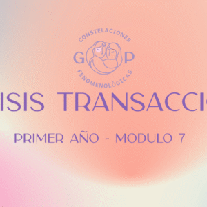 Modulo 7 Analisis transaccional