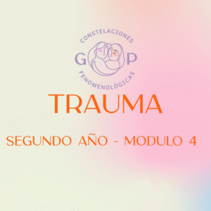 Módulo 4 - Trauma 2026