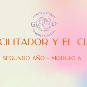 Módulo 6 - El facilitador y el cliente 2026