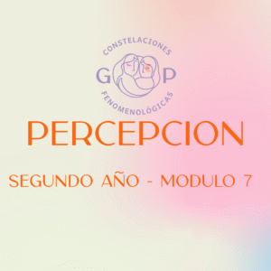 Módulo 7 - Percepción 2026