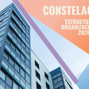 Constelaciones Organizacionales